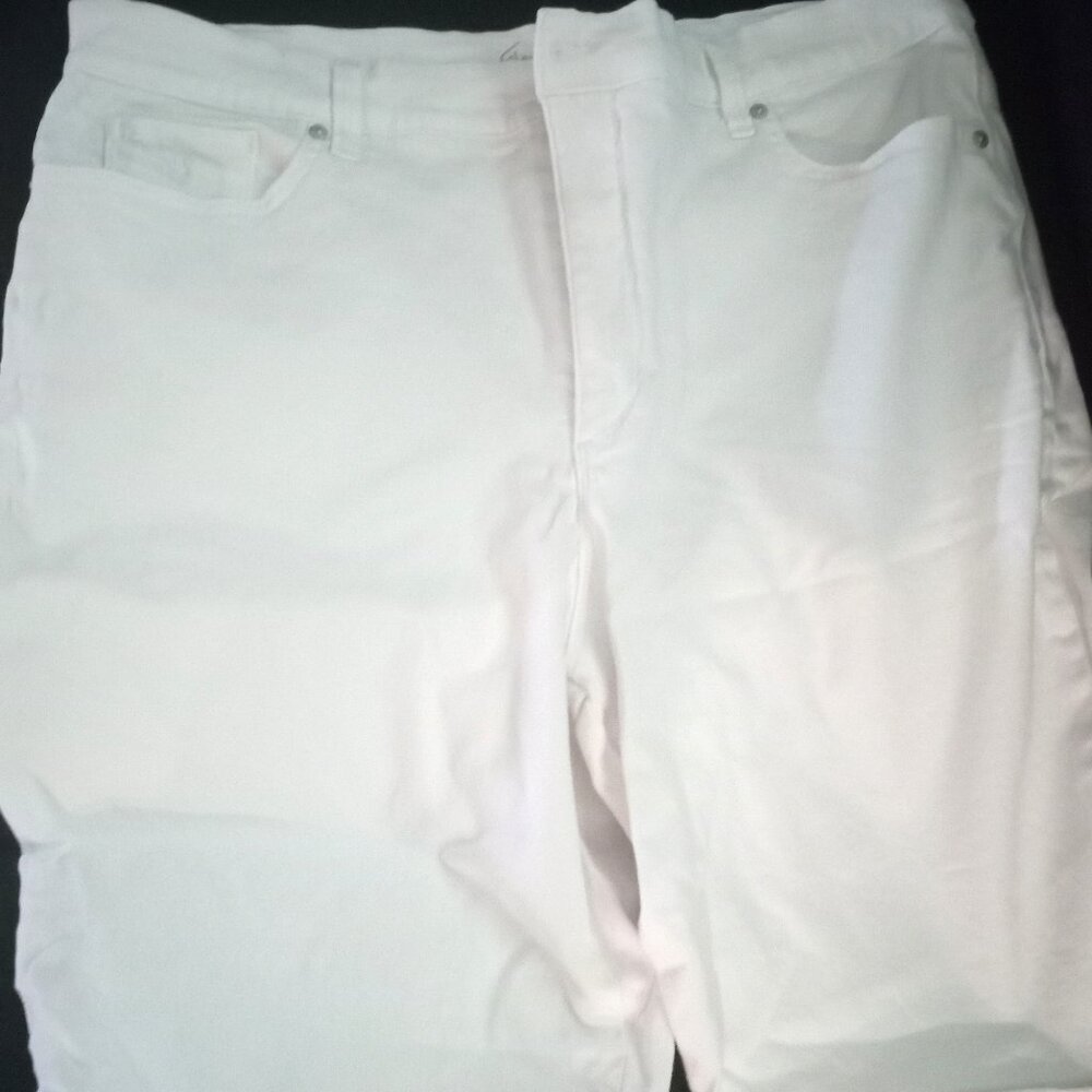 1 Gloria Vanderbilt shorts, size 18.